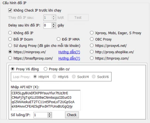 IP Config